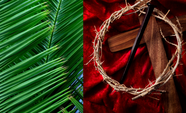 Worship on Palm & Passion Sunday: March 28th, 2021 | St. Matthew's Episcopal Church